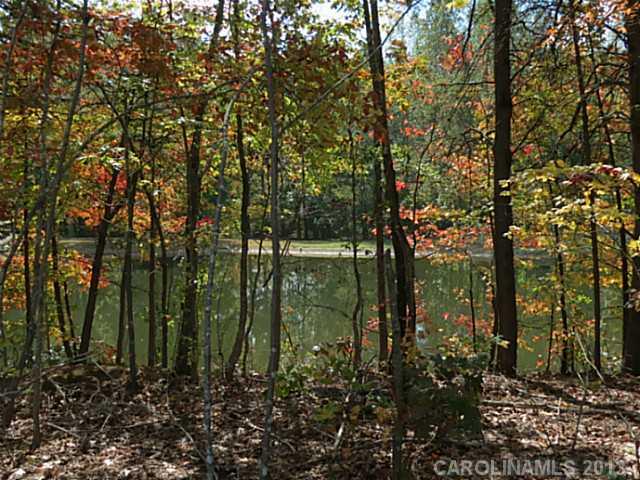 12 Wilmoth Road Clover, SC 29710 - Photo 11 of 16 a green field with lots of trees