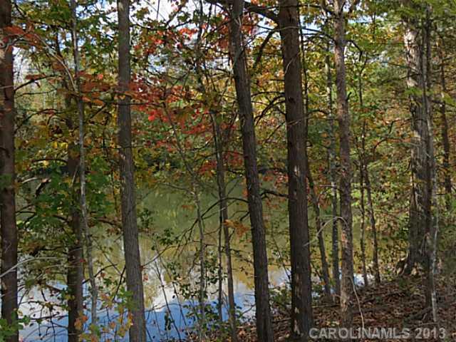 12 Wilmoth Road Clover, SC 29710 - Photo 12 of 16 a view of forest