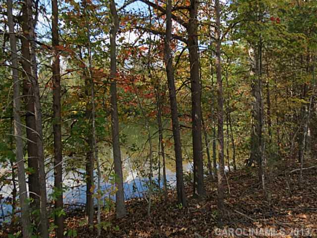 12 Wilmoth Road Clover, SC 29710 - Photo 13 of 16 a view of forest