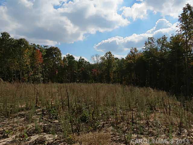 12 Wilmoth Road Clover, SC 29710 - Photo 15 of 16 a view of a lake with lots of trees