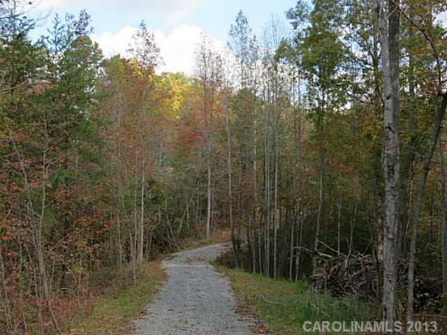 12 Wilmoth Road Clover, SC 29710 - Photo 4 of 16 a view of a forest with trees and a house