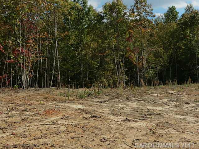 12 Wilmoth Road Clover, SC 29710 - Photo 6 of 16 a view of a dry yard with trees