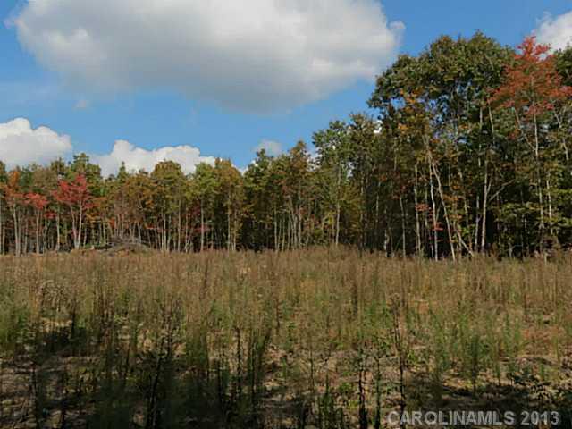 12 Wilmoth Road Clover, SC 29710 - Photo 10 of 16 a view of a yard
