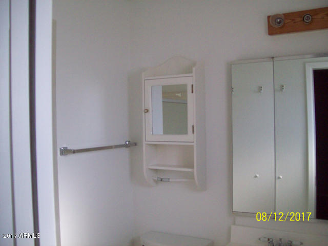 6335 East Decatur Street Mesa, AZ 85205 - Photo 9 of 24 Master Bath