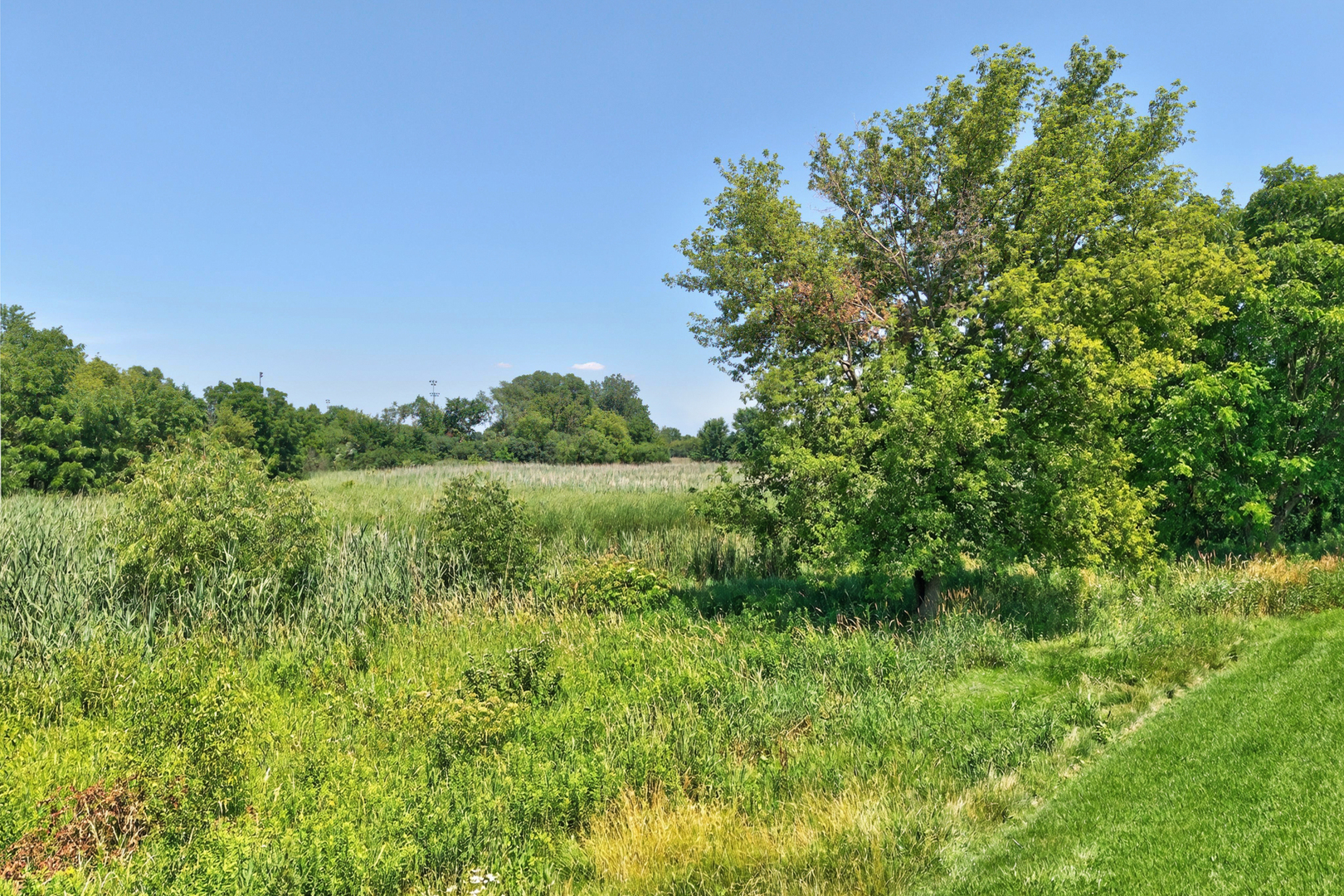 405 Locksley Drive Streamwood, IL 60107 - Photo 25 of 30