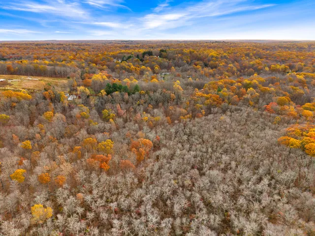 an aerial view of residential houses with city view
