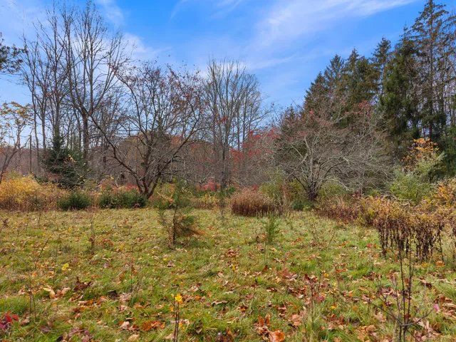 a view of outdoor space and trees