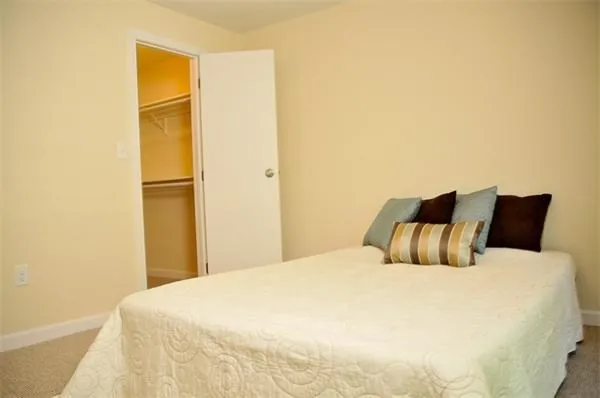 a bedroom with a bed and a closet