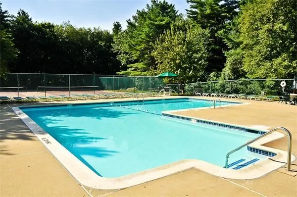 a view of a swimming pool with a yard