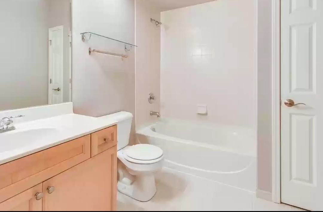 133 West Palatine Road, Unit 102 Palatine, IL 60067 - Photo 19 of 21 a bathroom with a granite countertop sink toilet and shower
