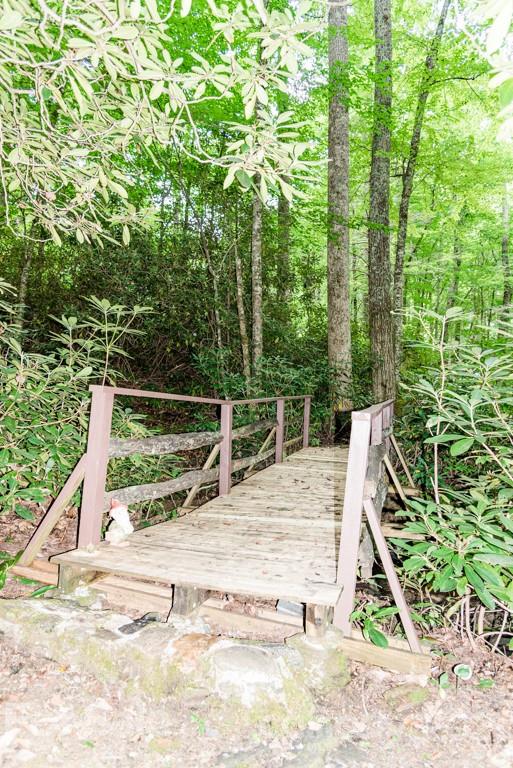 101 Cold Spring Road Burnsville, NC 28714 - Photo 7 of 33 Gallery Image 7