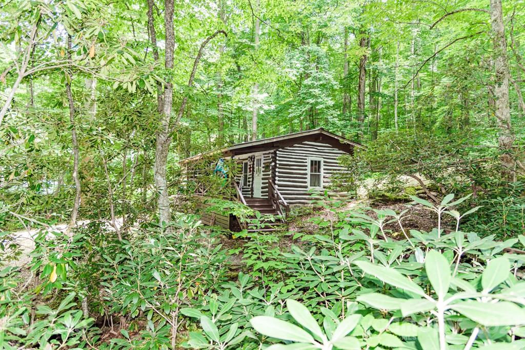 101 Cold Spring Road Burnsville, NC 28714 - Photo 8 of 33 Gallery Image 8