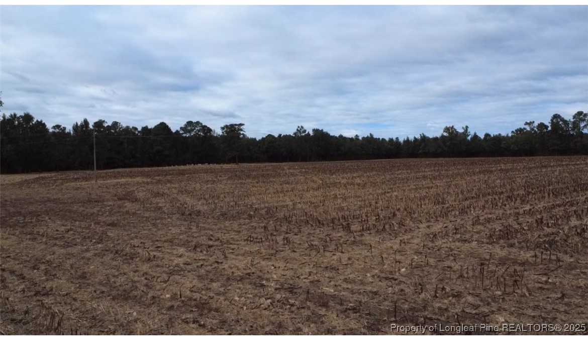 Greenville Road Lumberton, NC 28358 - Photo 5 of 5 a view of outdoor space and mountain
