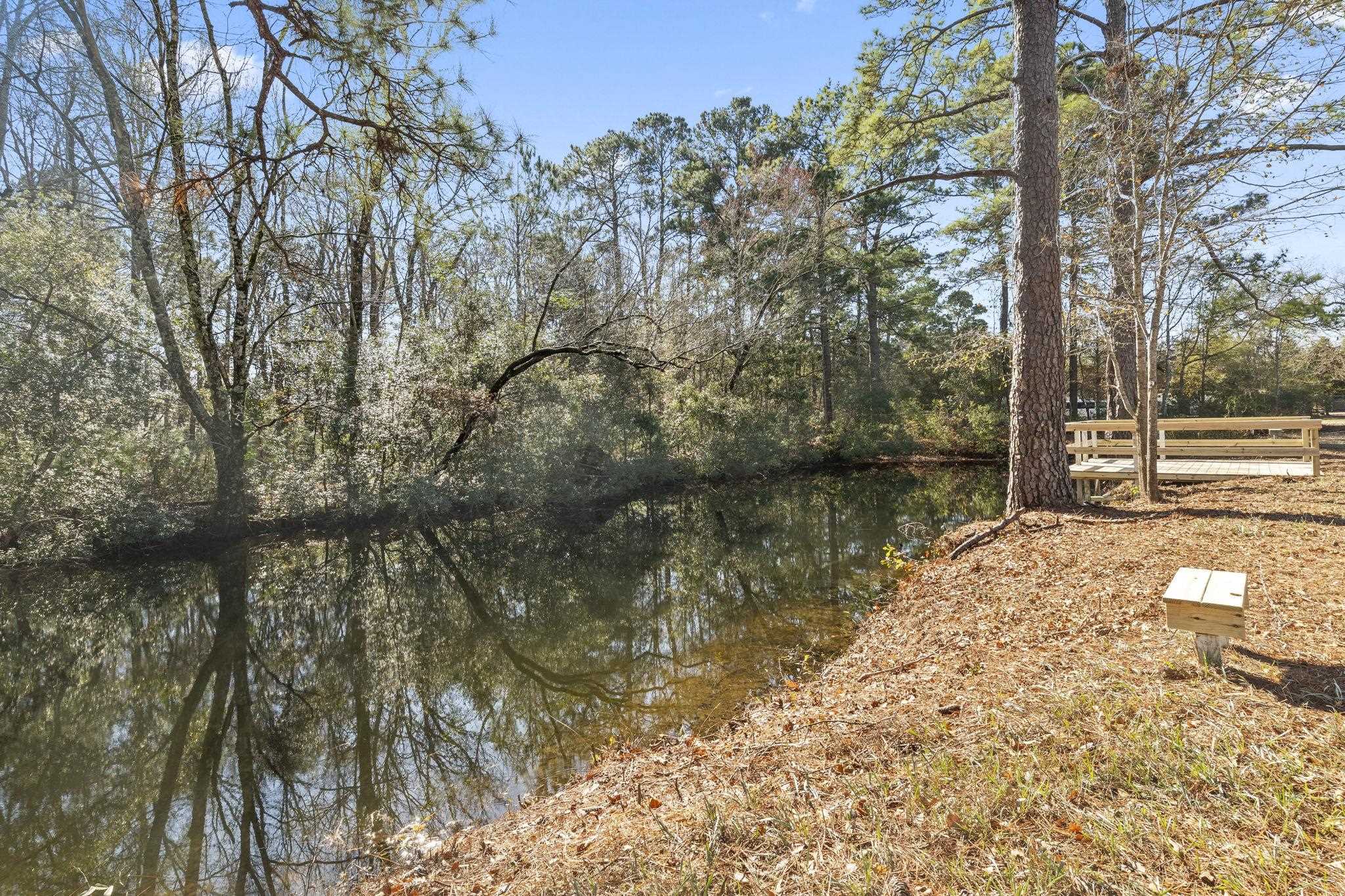 947 Fox Hollow Road Conway, SC 29526 - Photo 33 of 40 Water view