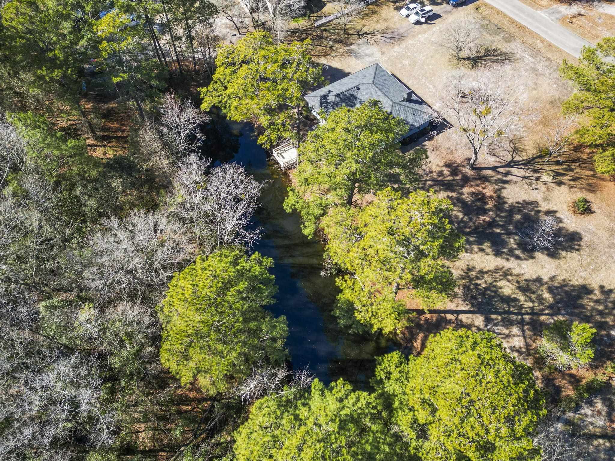 947 Fox Hollow Road Conway, SC 29526 - Photo 35 of 40 Aerial view of a tree filled landscape