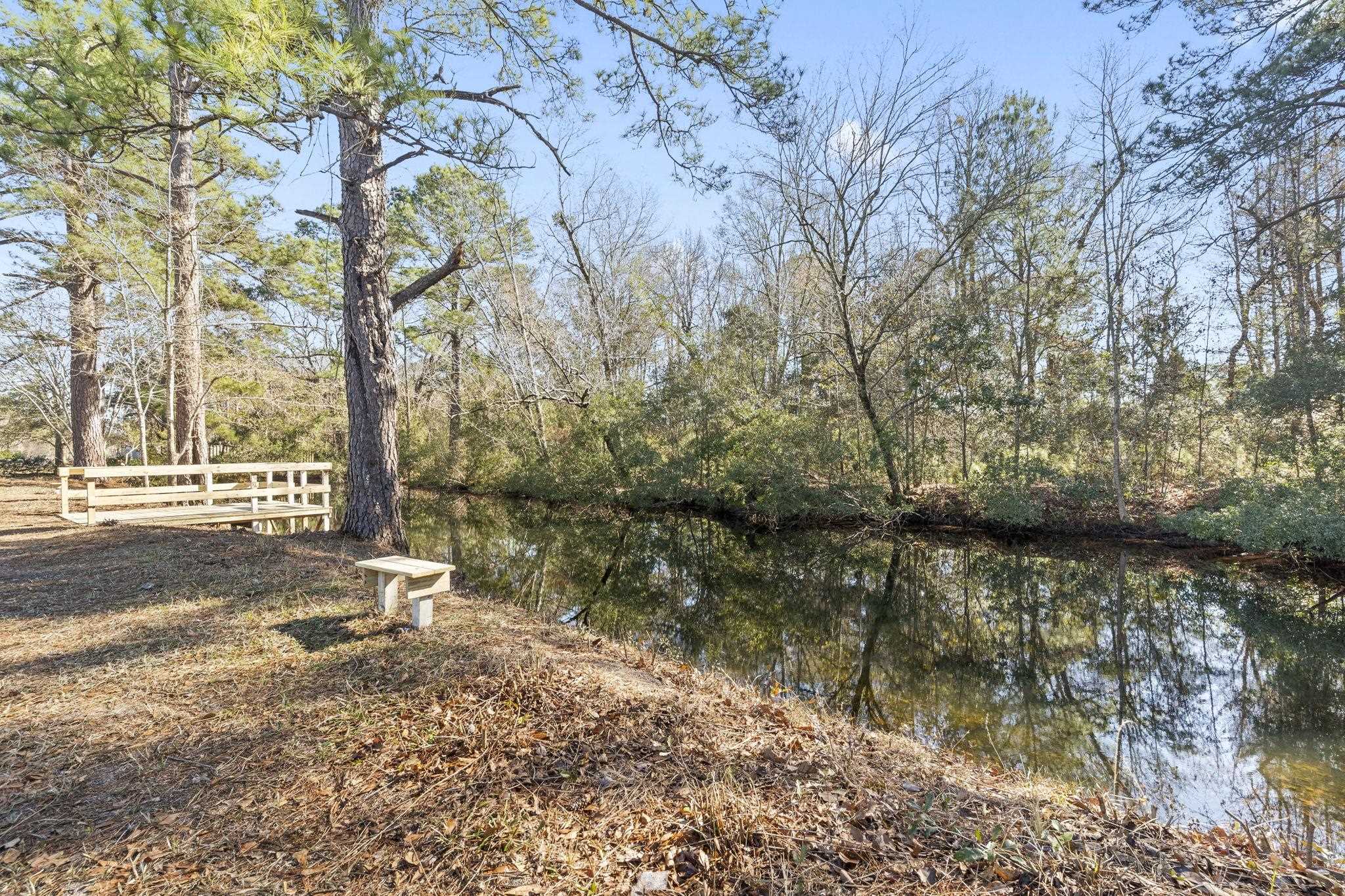 947 Fox Hollow Road Conway, SC 29526 - Photo 4 of 40 Water view