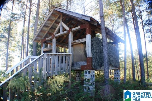 1785 Nunnally Lake Road Ohatchee, AL 36271 - Photo 24 of 50