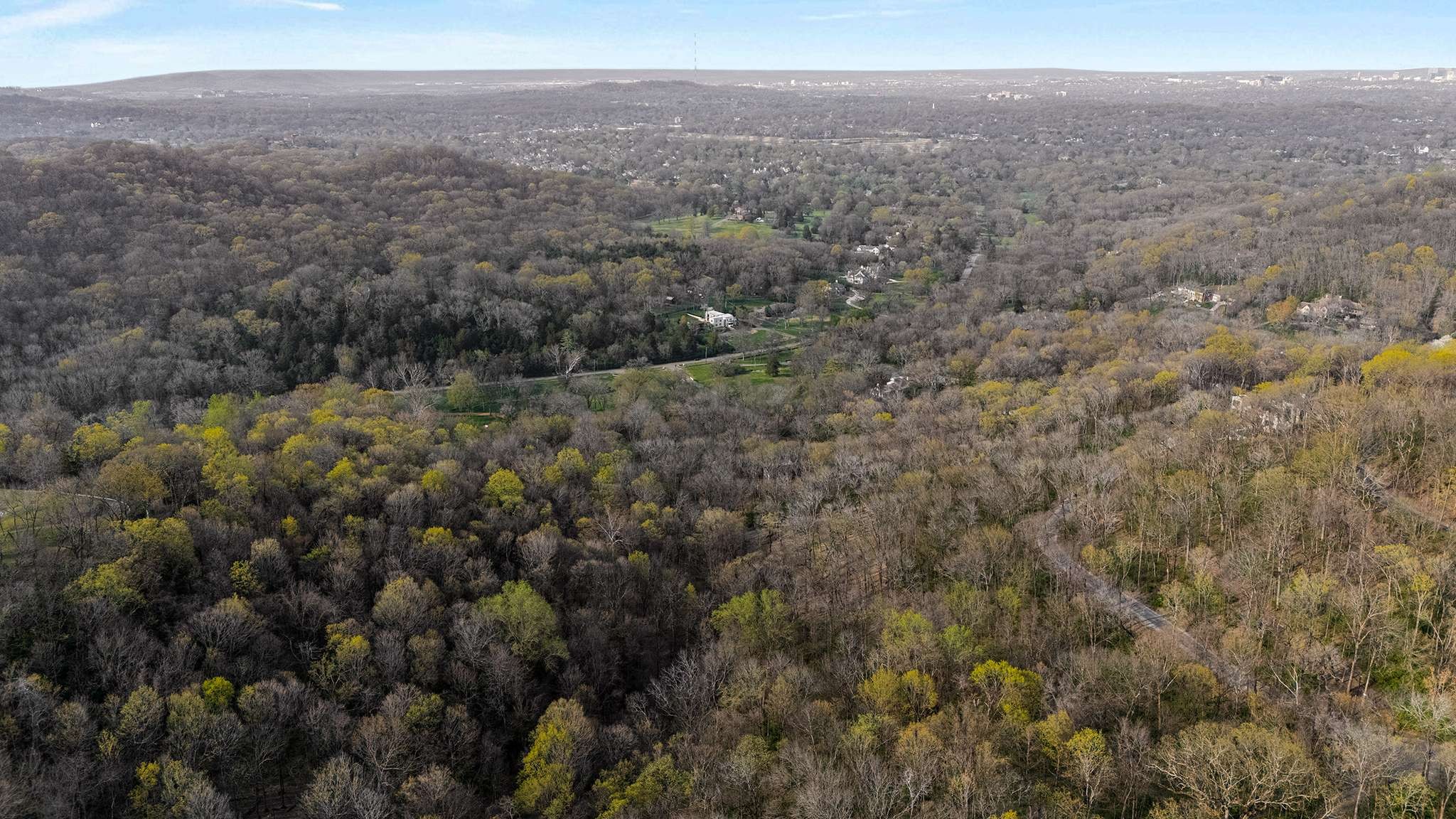 1416 Chickering Road Nashville, TN 37215 - Photo 10 of 12 a view of a dry yard