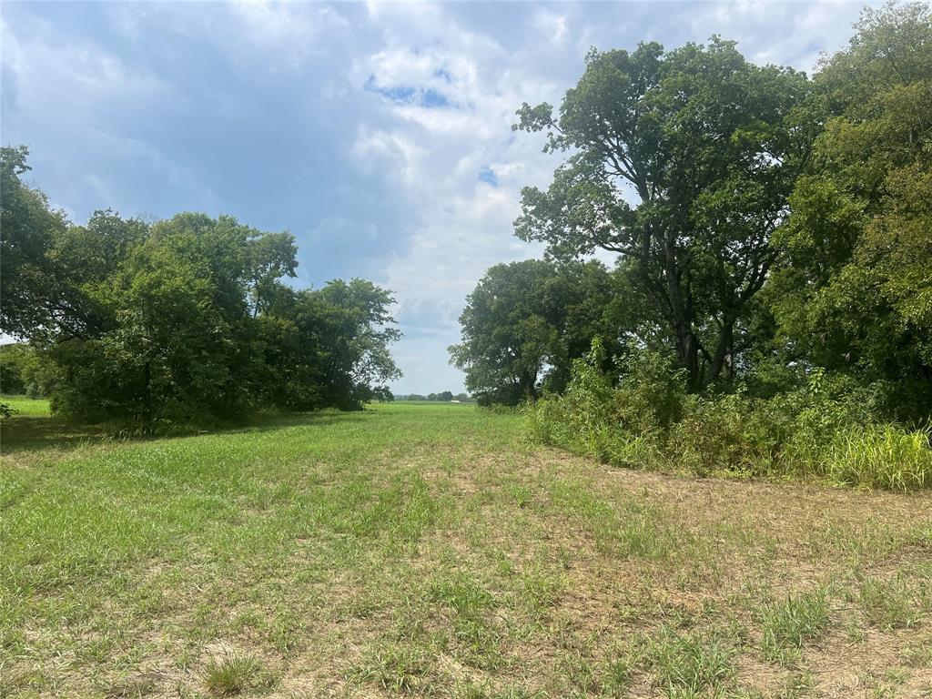 0 Us-82 Windom, TX 75492 - Photo 11 of 12 a view of a yard with a tree