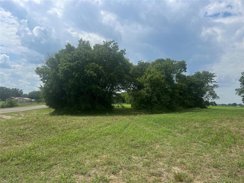 0 Us-82 Windom, TX 75492 - Photo 12 of 12 a view of a field of grass and trees