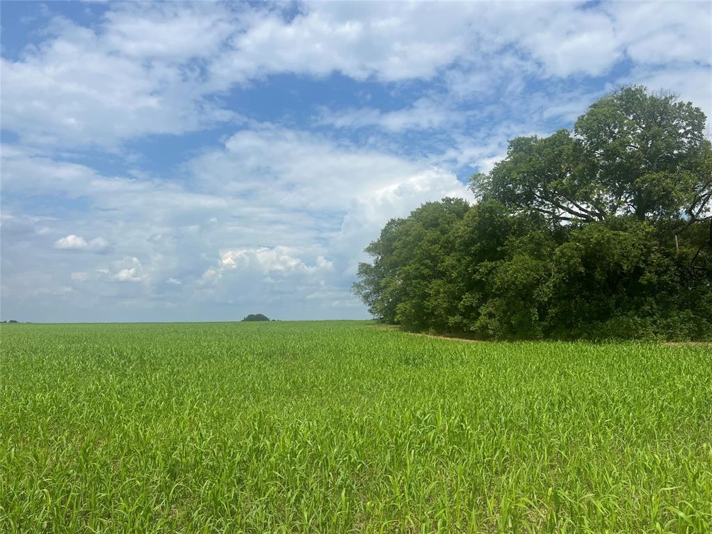 0 Us-82 Windom, TX 75492 - Photo 9 of 12