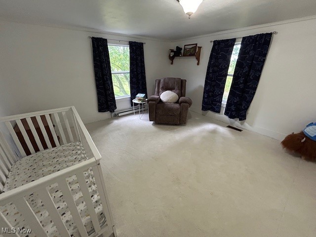 48 North Firestone Road Wooster, OH 44691 - Photo 11 of 22 Bedroom featuring a baseboard heating unit, carpet, crown molding, and a crib