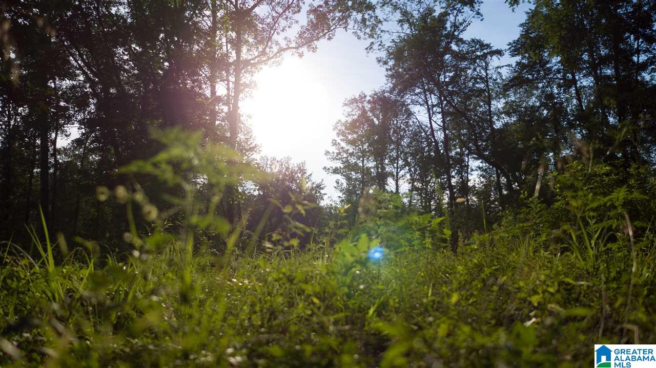 180 Gibson Road, Unit 76 / ACRES OFF GIBSON R Columbiana, AL 35051 - Photo 11 of 50