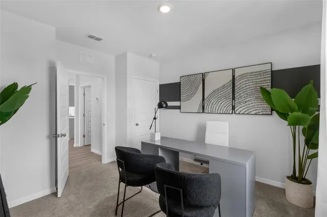 a living room with furniture a potted plant and a rug