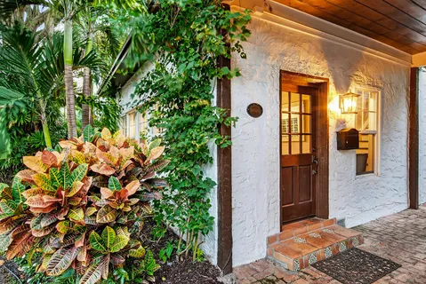 a flower plants in front of a door