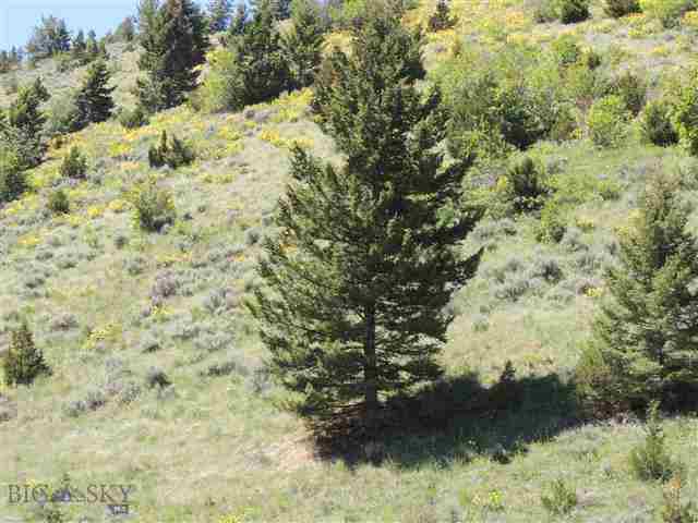 397 Pole Gulch Road Three Forks, MT 59752 - Photo 1 of 1 Gallery Image 1