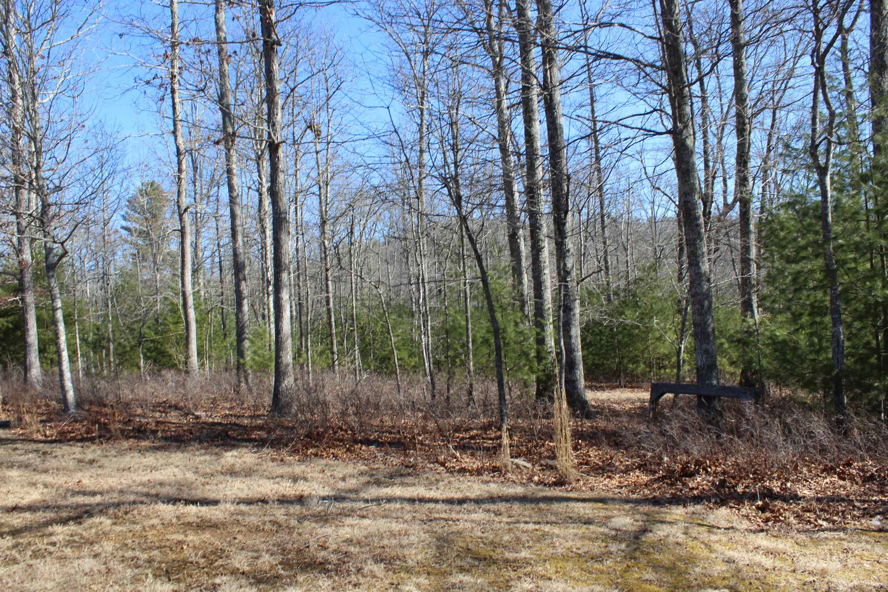 625 Hummingbird Lane Monterey, VA 24465 - Photo 22 of 54