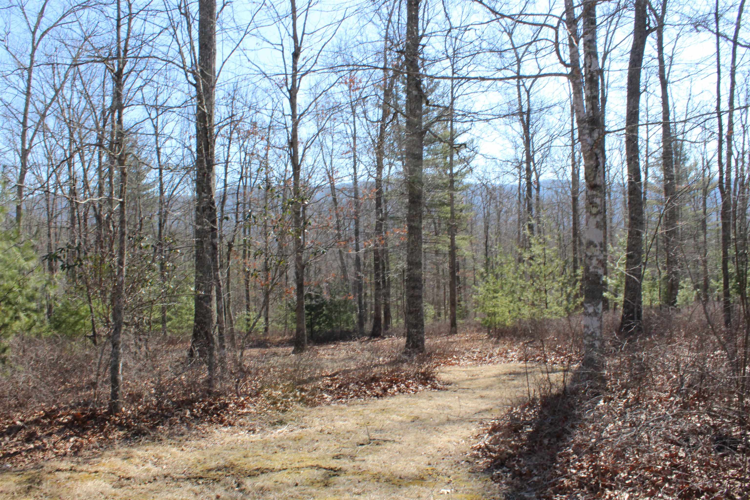 625 Hummingbird Lane Monterey, VA 24465 - Photo 23 of 54