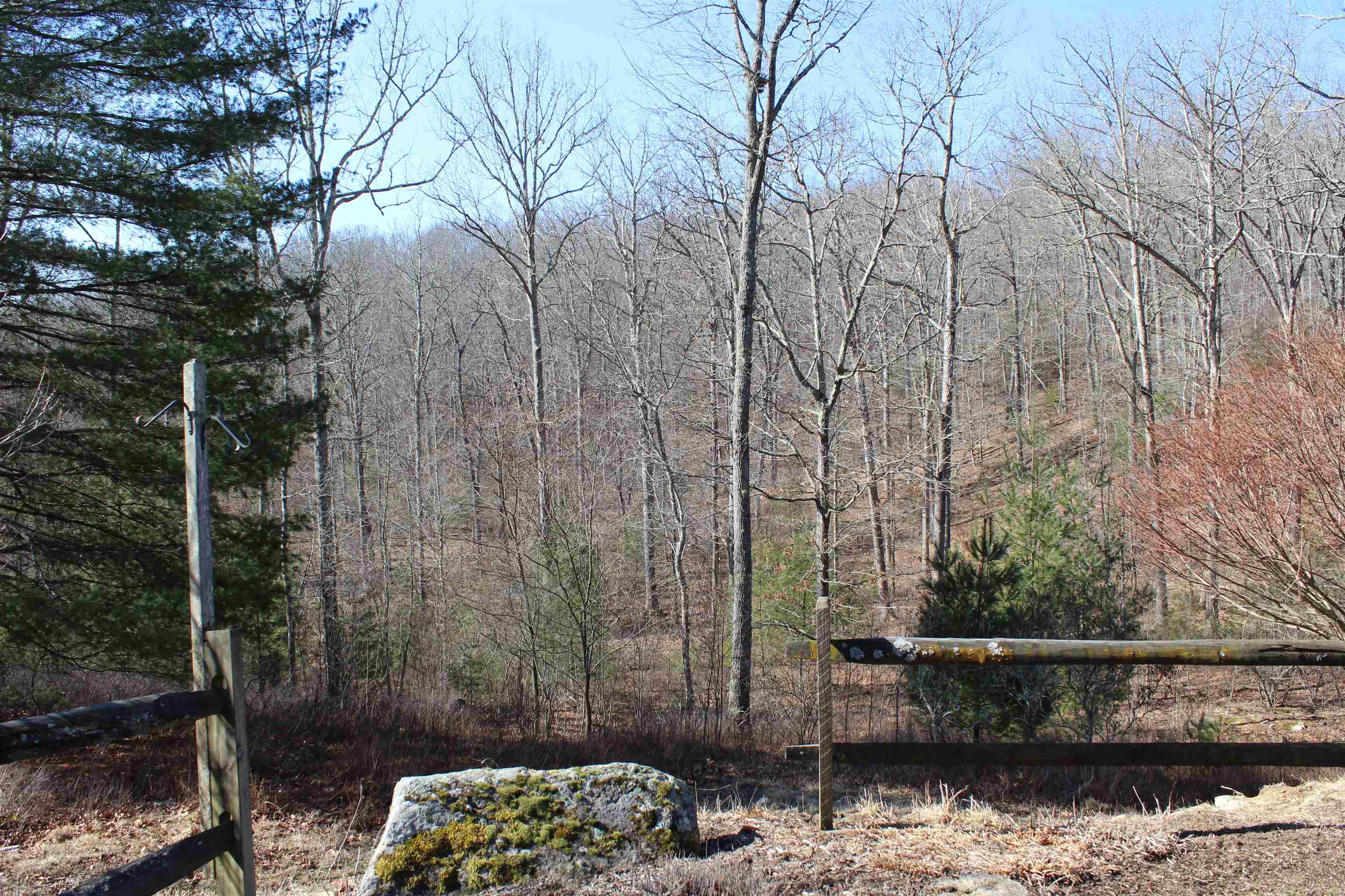 625 Hummingbird Lane Monterey, VA 24465 - Photo 25 of 54