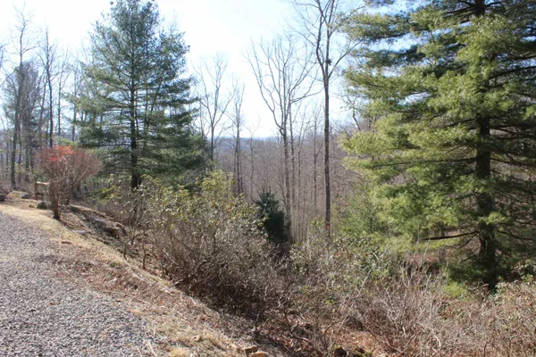 $690,000 | 625 Hummingbird Lane, Monterey, VA 24465