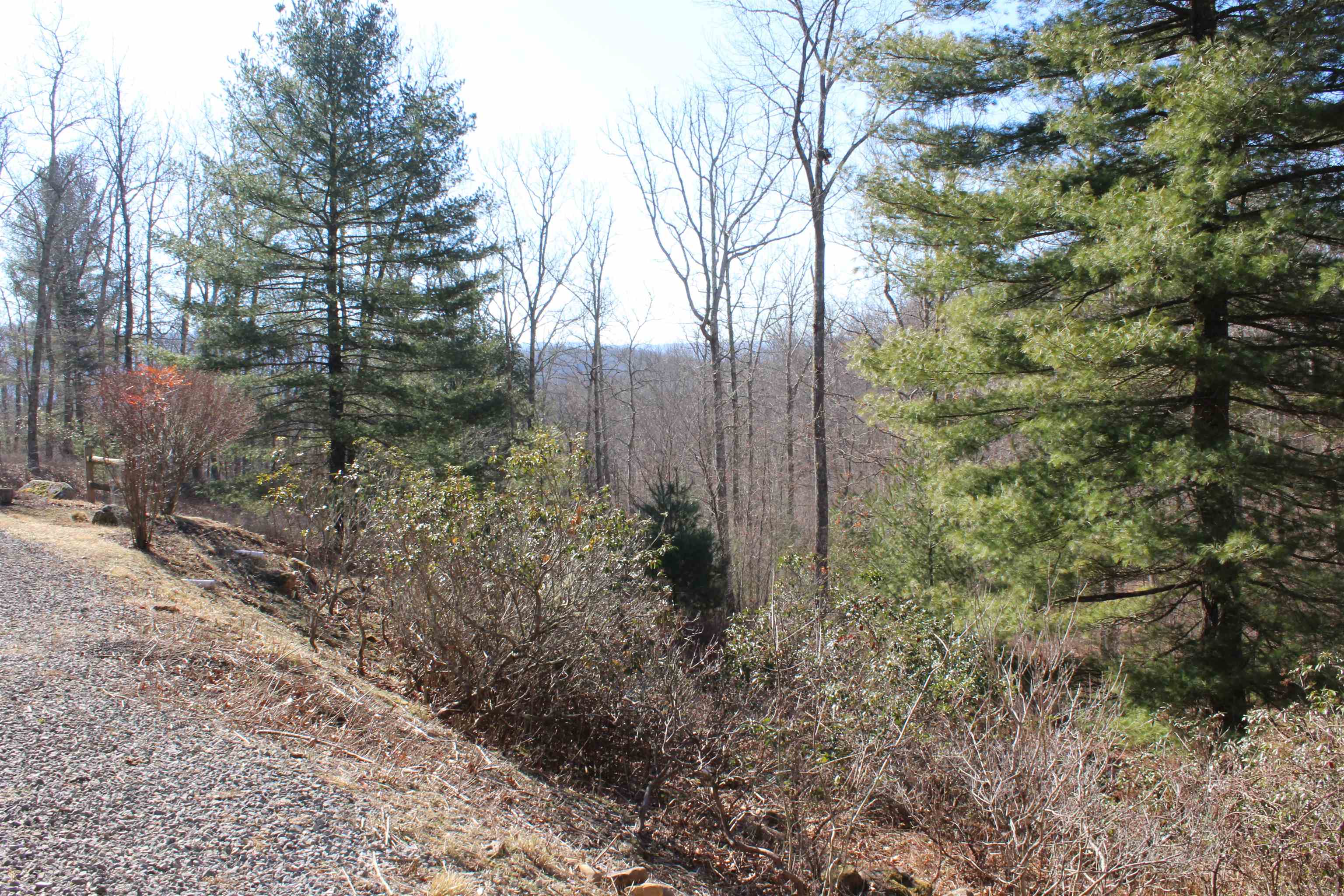 625 Hummingbird Lane Monterey, VA 24465 - Photo 29 of 54