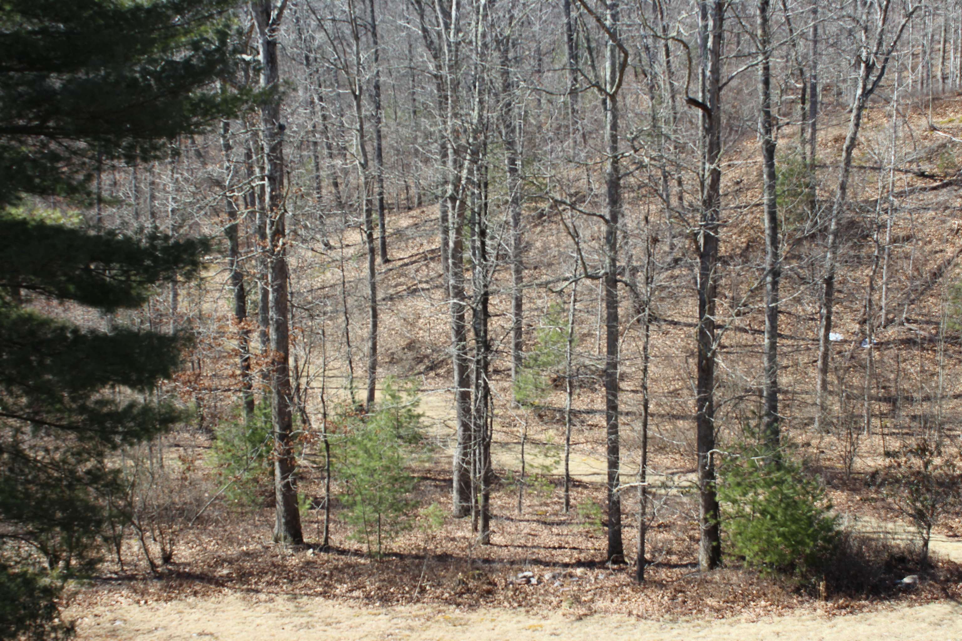 625 Hummingbird Lane Monterey, VA 24465 - Photo 6 of 54