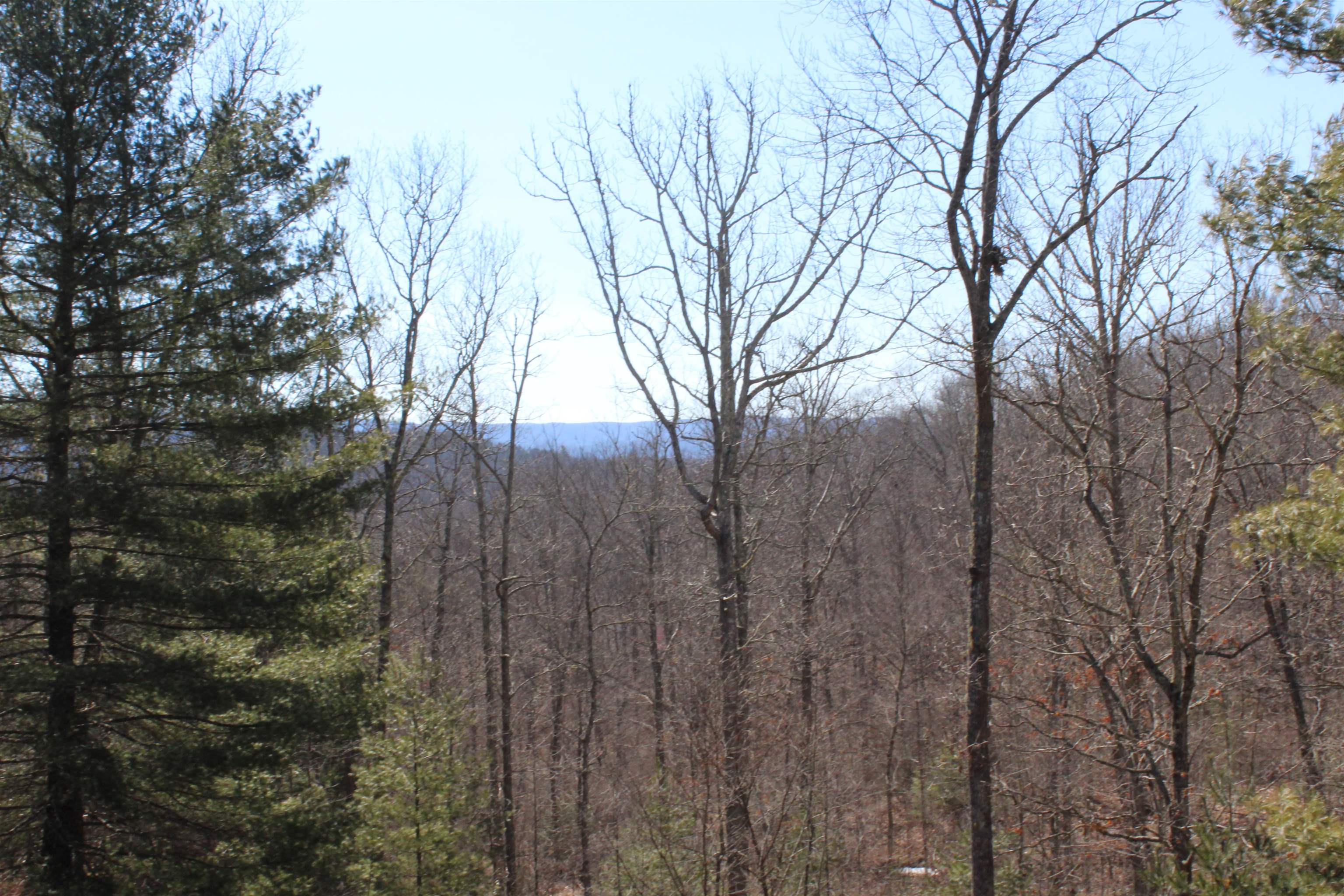 625 Hummingbird Lane Monterey, VA 24465 - Photo 8 of 54