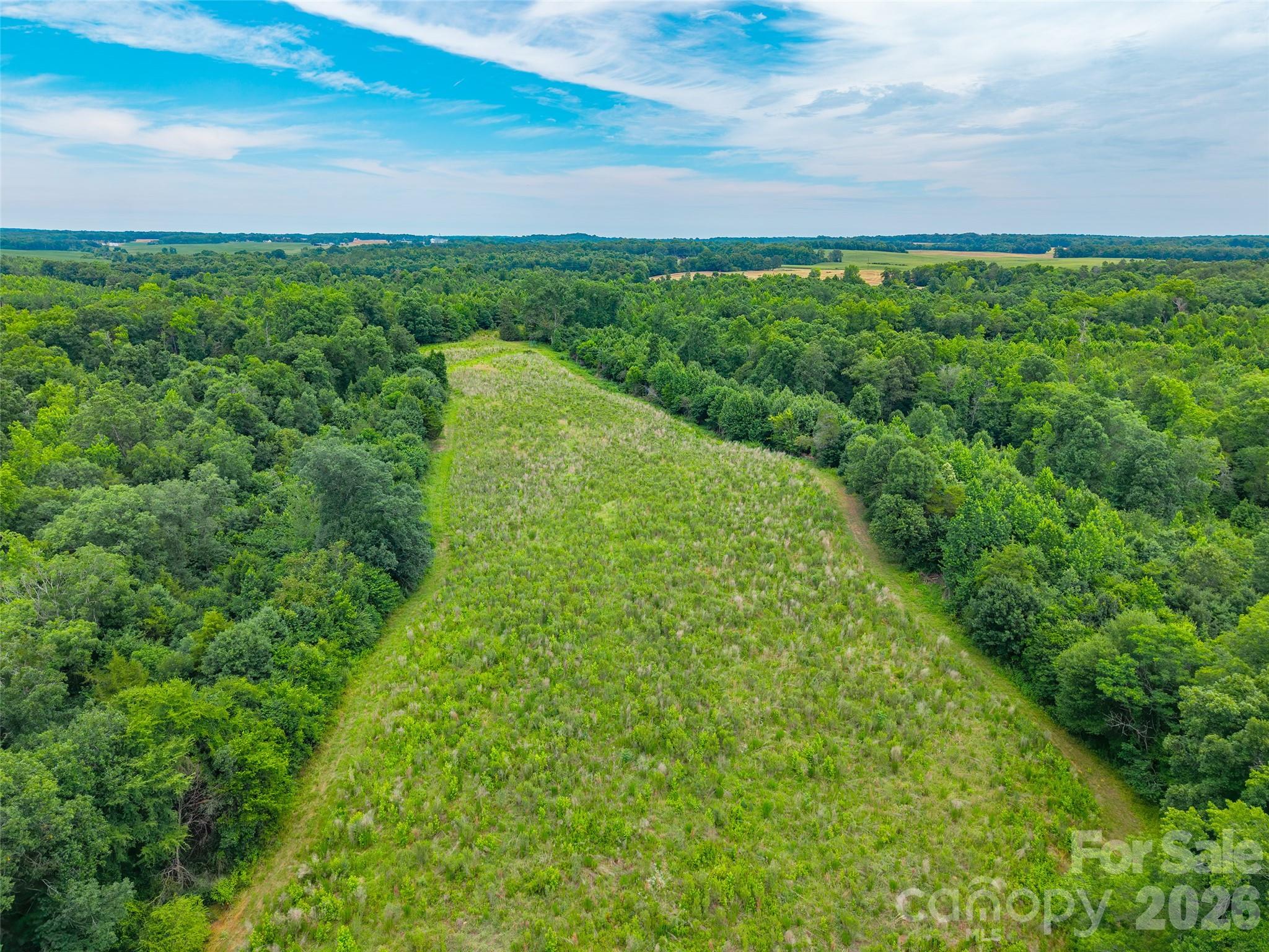 0 John Doster Road Pageland, SC 29728 - Photo 8 of 12