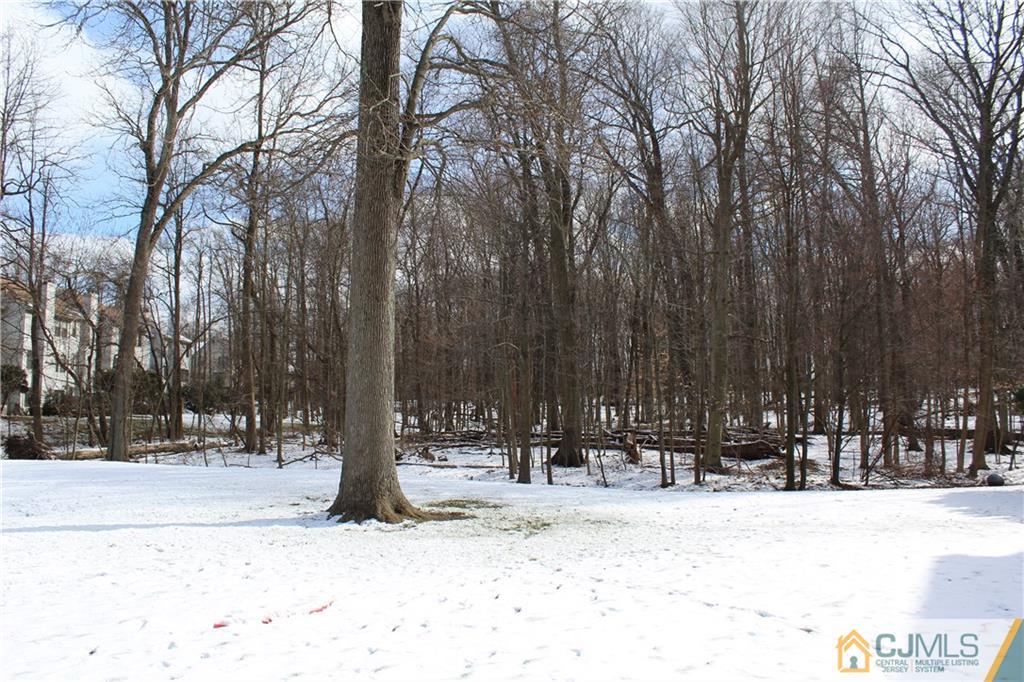 4901 Stonehedge Road, Unit 4901 Edison, NJ 08820 - Photo 22 of 22 a view of outdoor space with fountain