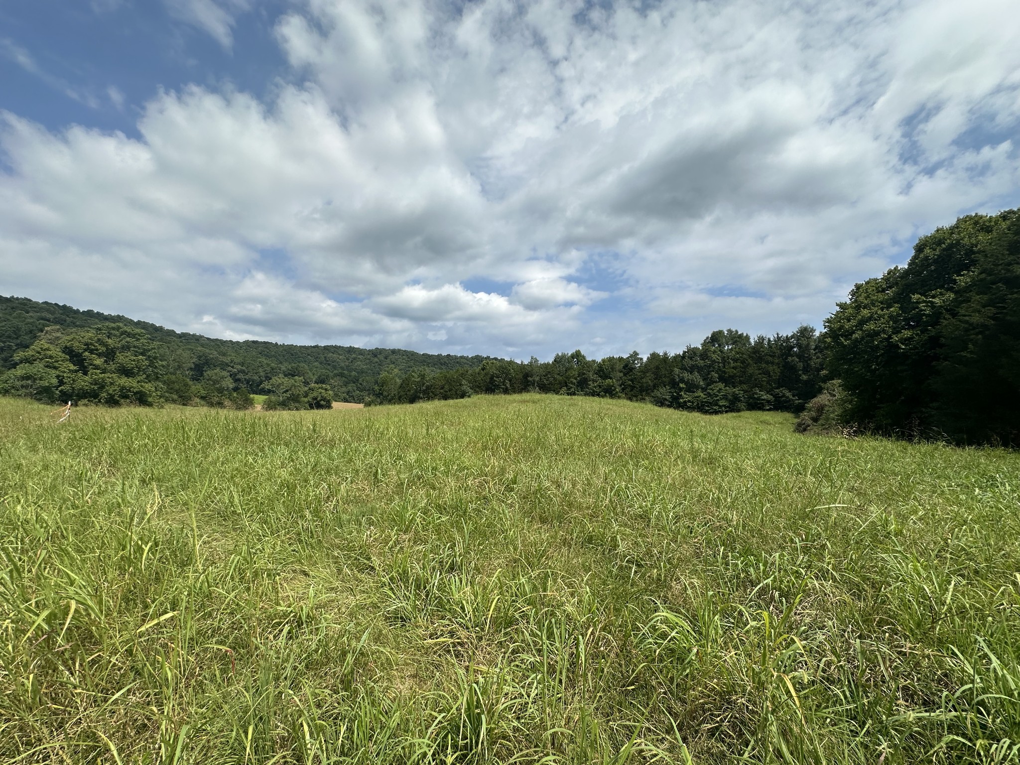 0 Plum Creek Road Sparta, TN 38583 - Photo 1 of 16 Gallery Image 1