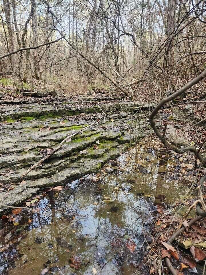 0 Persinger Road Cedarcreek, MO 65627 - Photo 5 of 18 744392827_1548455720271303_7962476836180