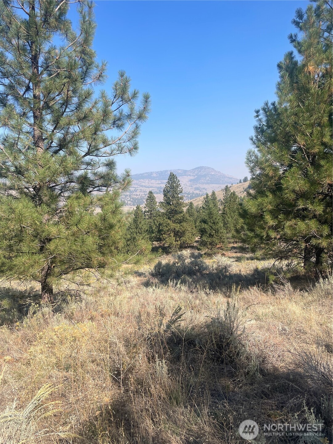 -tbd Reevas Basin Road Tonasket, WA 98855 - Photo 29 of 38
