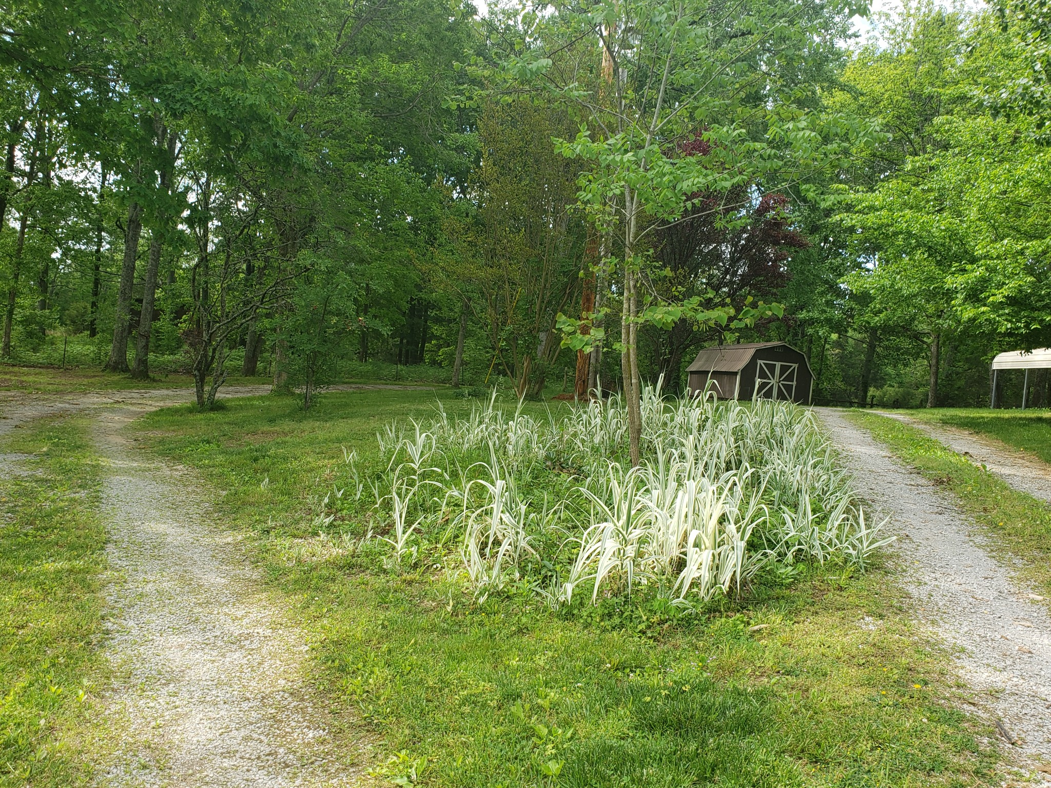 911 Snell Road Lewisburg, TN 37091 - Photo 38 of 50 Gallery Image 38