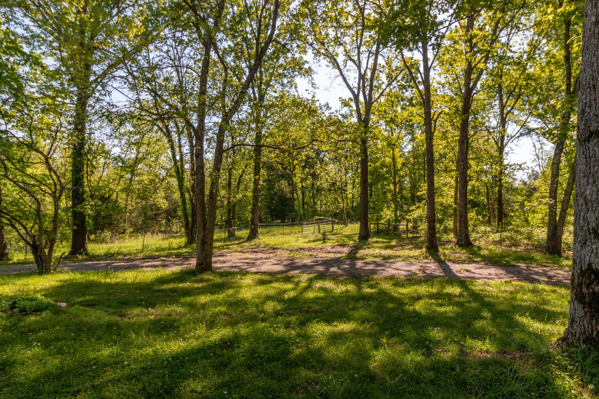 911 Snell Road Lewisburg, TN 37091 - Photo 40 of 50 Gallery Image 40