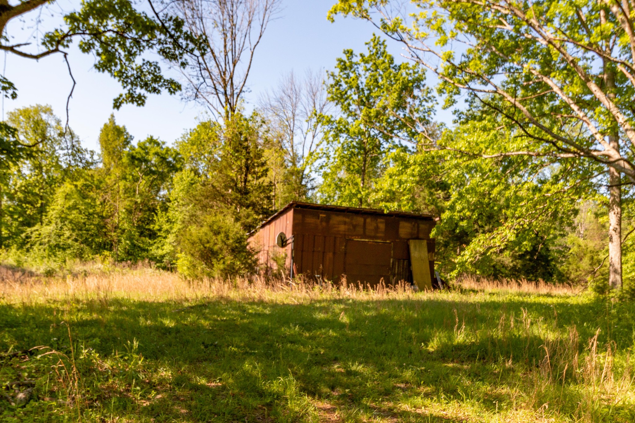 911 Snell Road Lewisburg, TN 37091 - Photo 41 of 50 Gallery Image 41