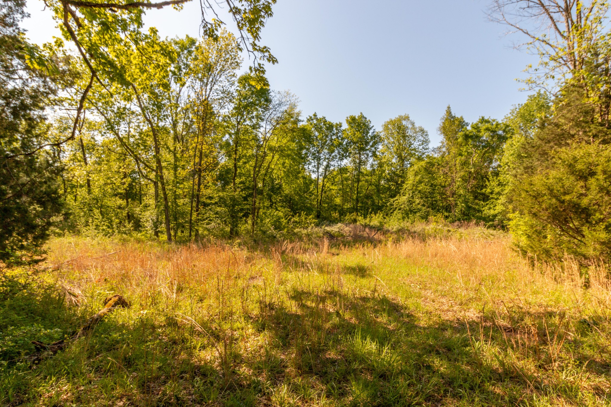 911 Snell Road Lewisburg, TN 37091 - Photo 42 of 50 Gallery Image 42