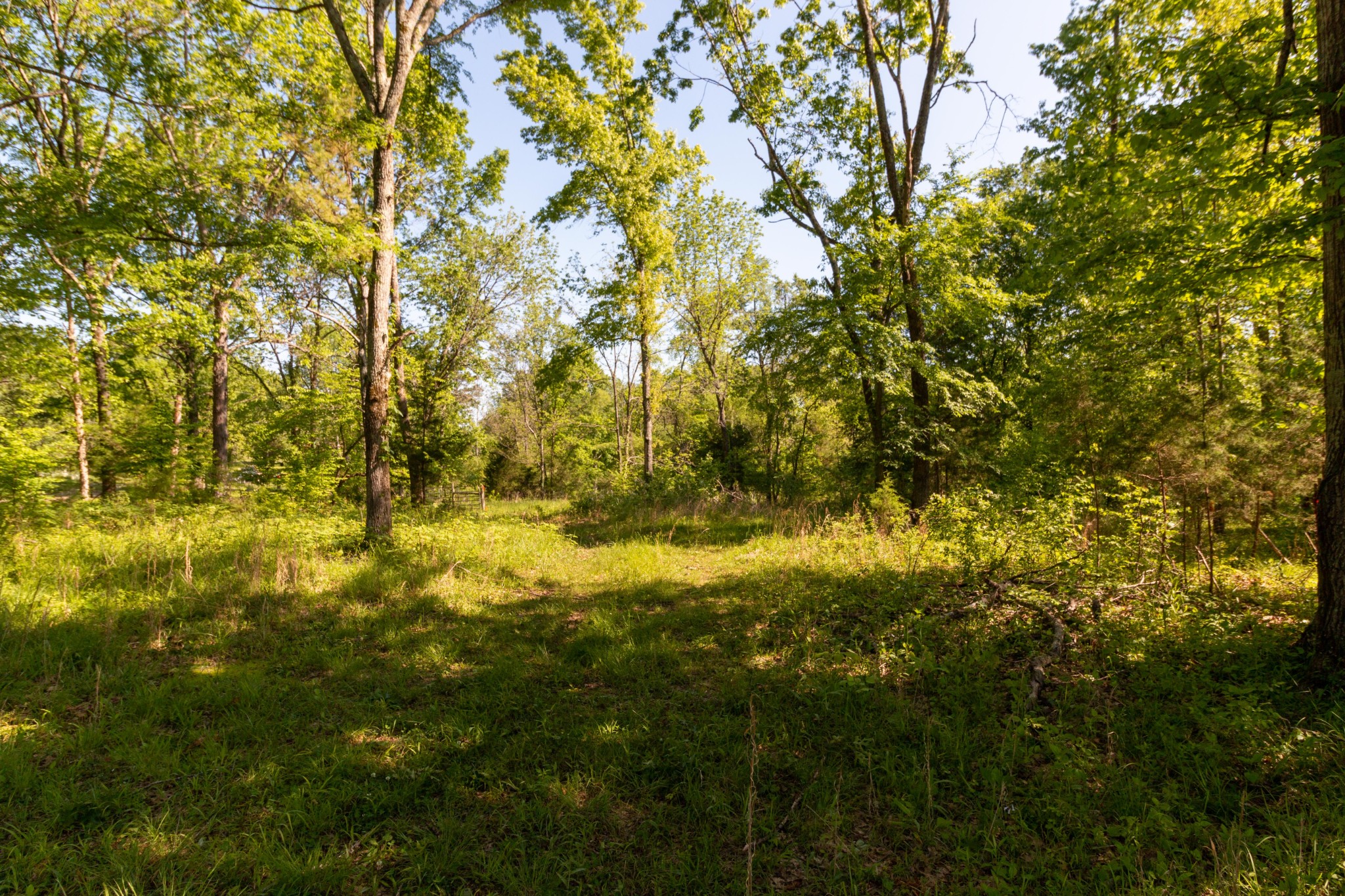 911 Snell Road Lewisburg, TN 37091 - Photo 43 of 50 Gallery Image 43