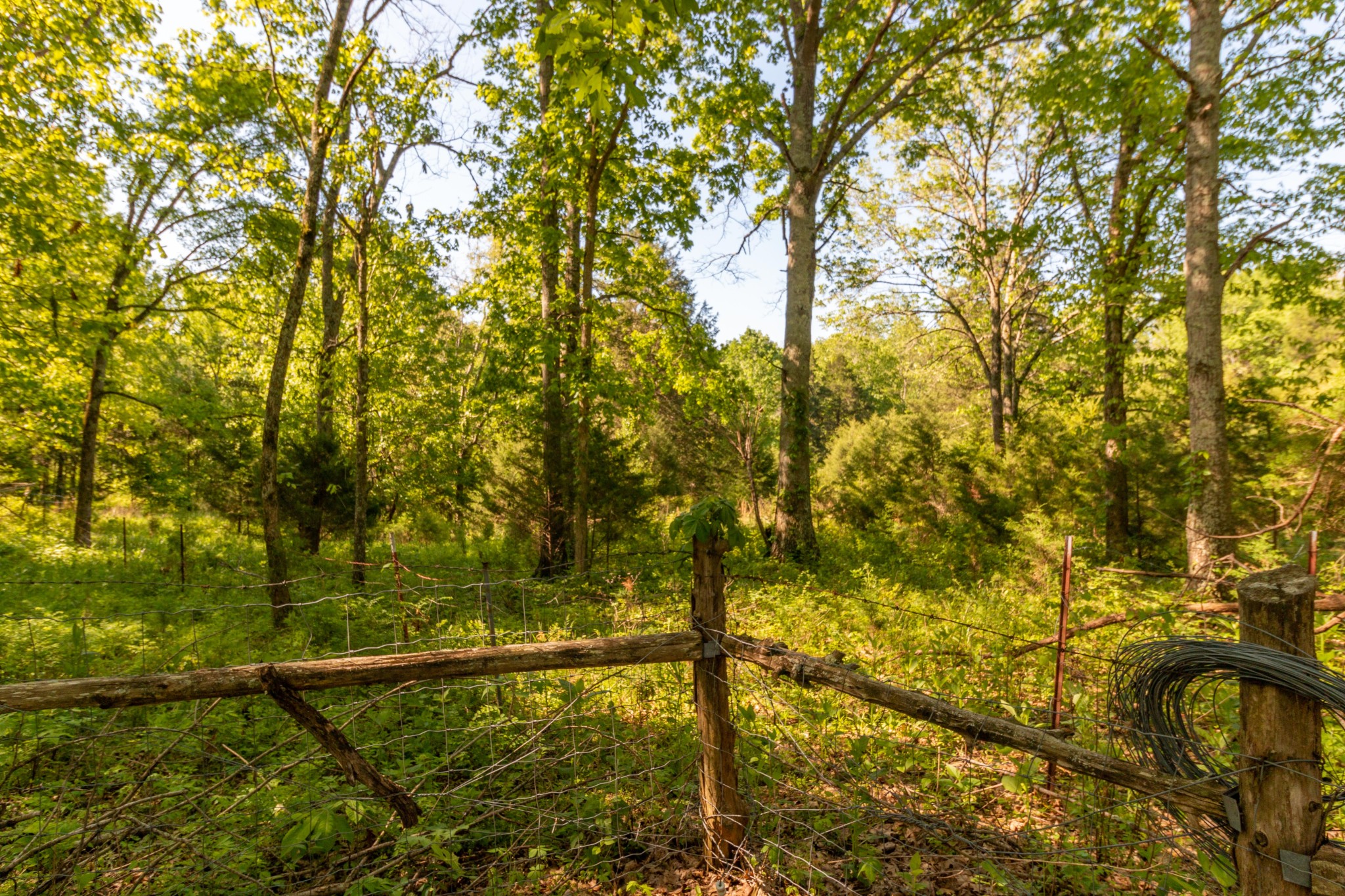 911 Snell Road Lewisburg, TN 37091 - Photo 45 of 50 Gallery Image 45