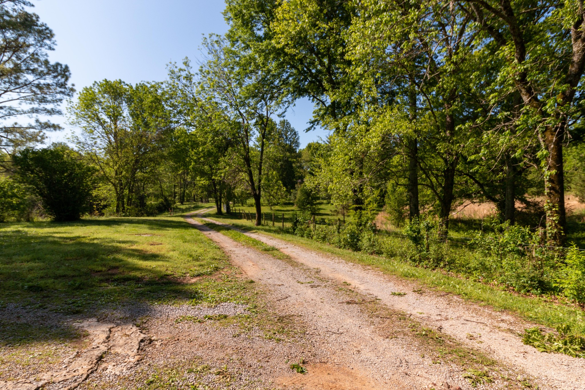911 Snell Road Lewisburg, TN 37091 - Photo 49 of 50 Gallery Image 49