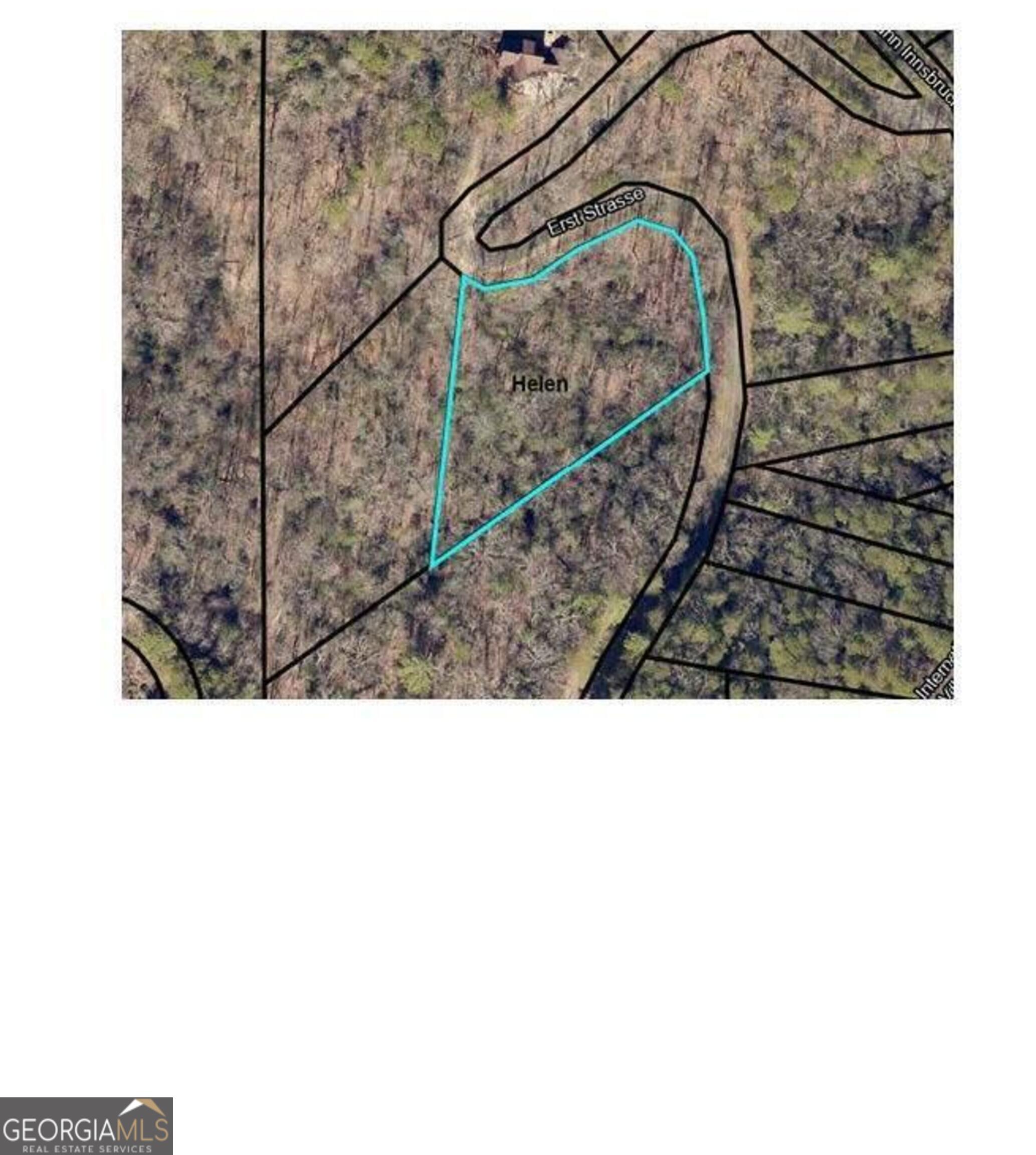 0 Erst Strasse Helen, GA 30545 - Photo 1 of 6